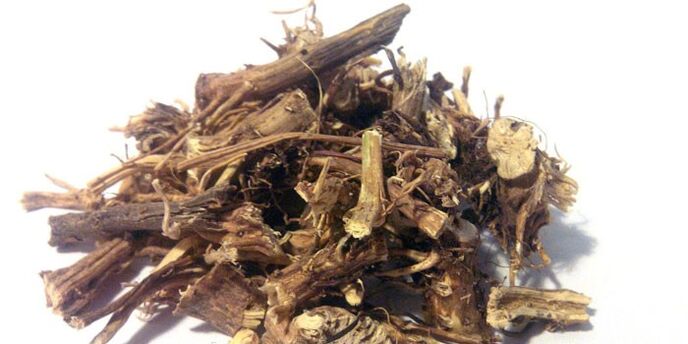 Burdock root for prostatitis