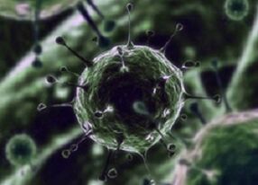 Bacterial microorganisms as the cause of prostatitis
