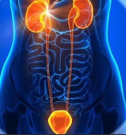 prostatitis
