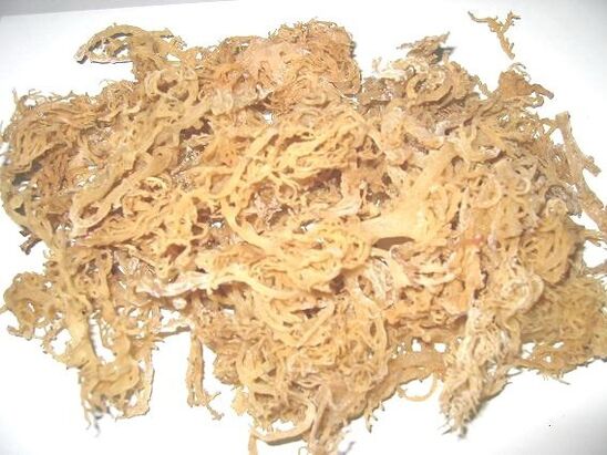 Irish moss bath for prostatitis